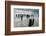 The Old Harbour, Winchelsea Beach, Sussex, England, United Kingdom, Europe-Bill Ward-Framed Photographic Print