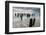 The Old Harbour, Winchelsea Beach, Sussex, England, United Kingdom, Europe-Bill Ward-Framed Photographic Print