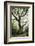 The Old King-Philippe Manguin-Framed Photographic Print