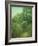 The Old Laurel Bush-Julian Alden Weir-Framed Giclee Print