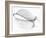 The Old Leaf-Katarina Holmström-Framed Photographic Print