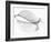 The Old Leaf-Katarina Holmström-Framed Photographic Print