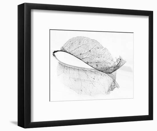 The Old Leaf-Katarina Holmström-Framed Photographic Print