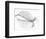 The Old Leaf-Katarina Holmström-Framed Photographic Print