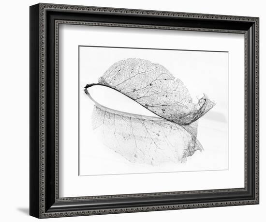 The Old Leaf-Katarina Holmström-Framed Photographic Print