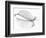 The Old Leaf-Katarina Holmström-Framed Photographic Print