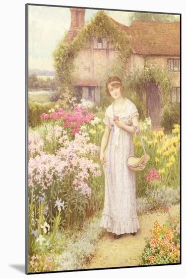 The Old Manse Garden-William Affleck-Mounted Giclee Print