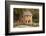 The Old Mill, Gone with the Wind, Little Rock, Arkansas, USA-Walter Bibikow-Framed Photographic Print