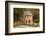 The Old Mill, Gone with the Wind, Little Rock, Arkansas, USA-Walter Bibikow-Framed Photographic Print