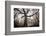 the old oak-Phillipe Manguin-Framed Photographic Print