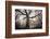 the old oak-Phillipe Manguin-Framed Photographic Print