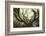 The old octopuss beech-Philippe Manguin-Framed Photographic Print