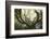 The old octopuss beech-Philippe Manguin-Framed Photographic Print