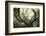 The old octopuss beech-Philippe Manguin-Framed Photographic Print