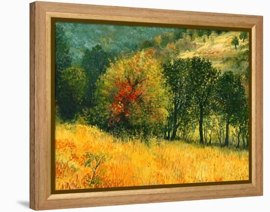 The Old Pear-kirilstanchev-Framed Stretched Canvas