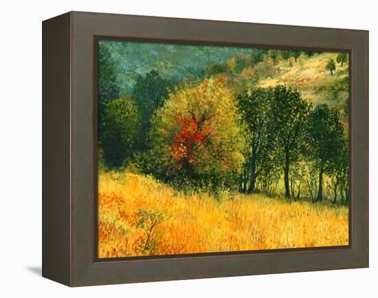 The Old Pear-kirilstanchev-Framed Stretched Canvas