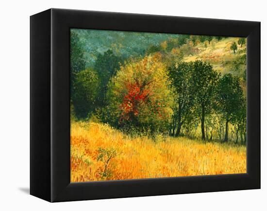 The Old Pear-kirilstanchev-Framed Stretched Canvas