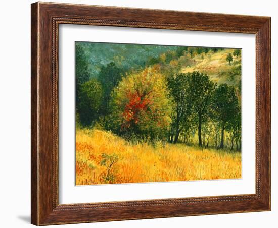 The Old Pear-kirilstanchev-Framed Art Print