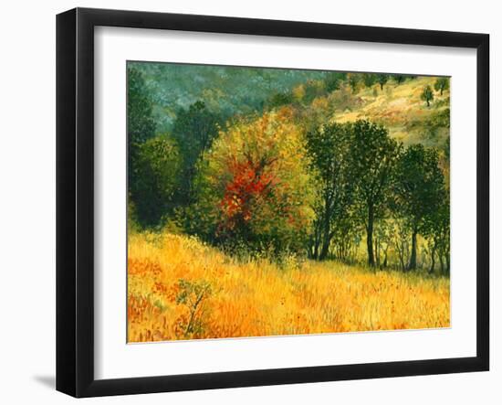 The Old Pear-kirilstanchev-Framed Art Print