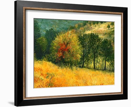 The Old Pear-kirilstanchev-Framed Art Print