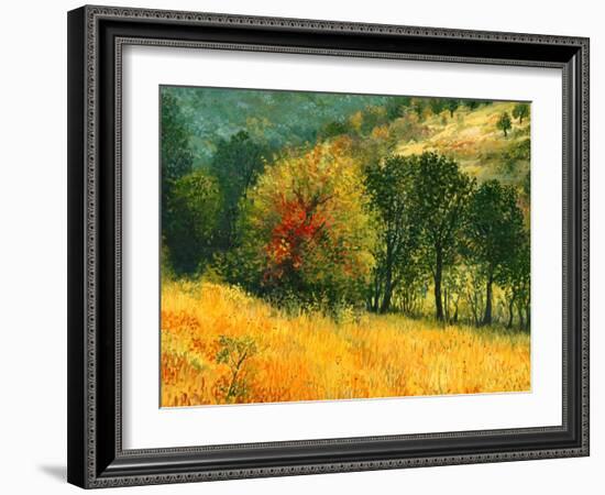 The Old Pear-kirilstanchev-Framed Art Print