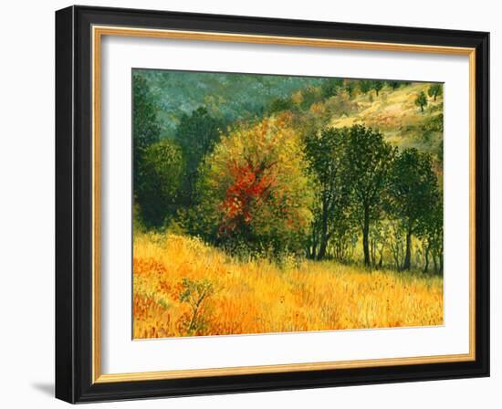 The Old Pear-kirilstanchev-Framed Art Print