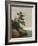 The Old Pine, Darien, Connecticut, 1872-John Frederick Kensett-Framed Giclee Print