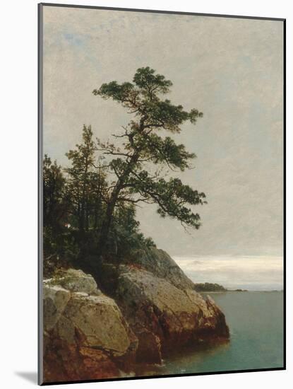 The Old Pine, Darien, Connecticut, 1872-John Frederick Kensett-Mounted Giclee Print