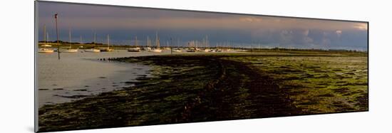 The Old Road, Emsworth, Chichester Harbour, West Sussex, England, United Kingdom, Europe-Giles Bracher-Mounted Photographic Print