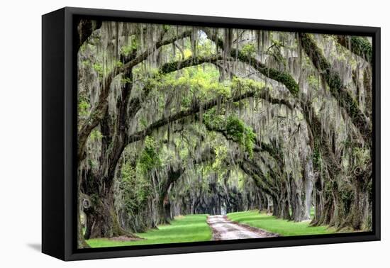 The Old South-Daniel Burt-Framed Premier Image Canvas