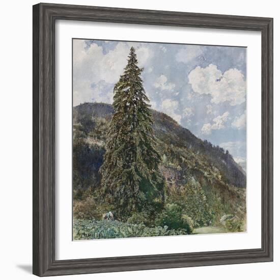 The Old Spruce in Bad Gastein, 1899-Rudolf von Alt-Framed Premium Giclee Print