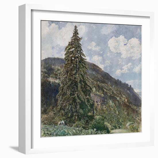 The Old Spruce in Bad Gastein, 1899-Rudolf von Alt-Framed Premium Giclee Print