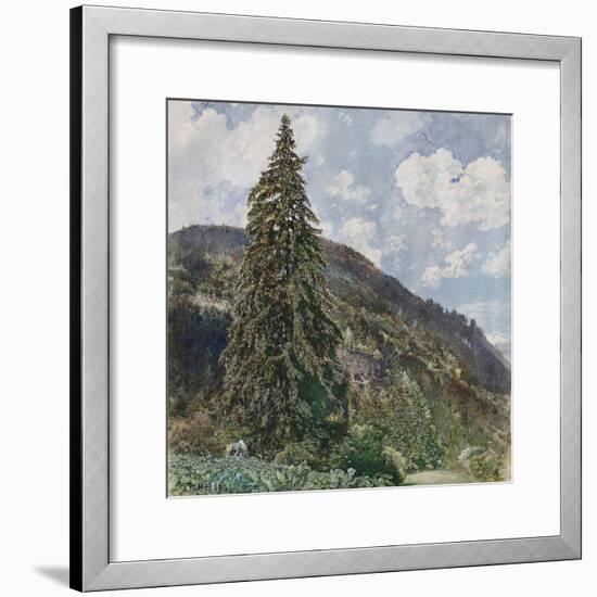 The Old Spruce in Bad Gastein, 1899-Rudolf von Alt-Framed Giclee Print