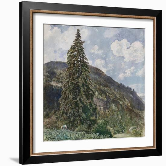 The Old Spruce in Bad Gastein, 1899-Rudolf von Alt-Framed Giclee Print