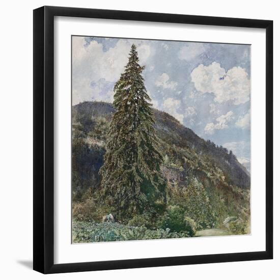 The Old Spruce in Bad Gastein, 1899-Rudolf von Alt-Framed Giclee Print