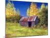 The Old Tin Shack, 2010-Anthony Rule-Mounted Giclee Print