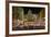 The Old Town Christmas Market, Innsbruck, Austria.-Jon Hicks-Framed Photographic Print