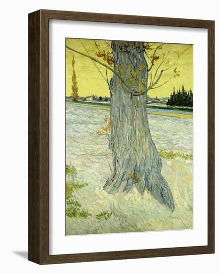 The Old Tree; Le Vieil If, 1888-Vincent van Gogh-Framed Giclee Print