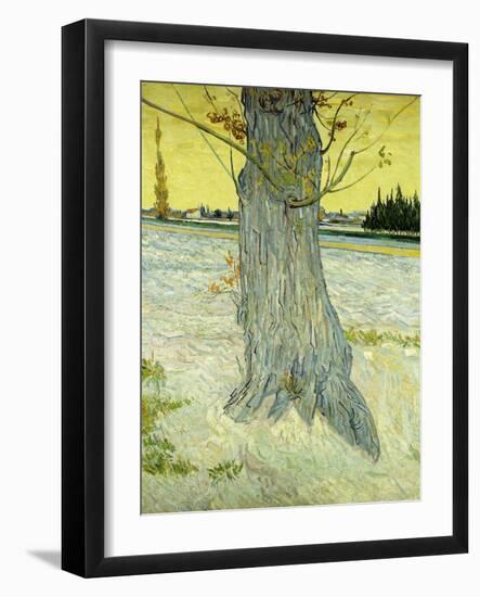 The Old Tree; Le Vieil If, 1888-Vincent van Gogh-Framed Giclee Print