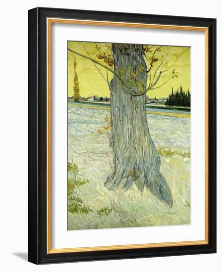 The Old Tree; Le Vieil If, 1888-Vincent van Gogh-Framed Giclee Print