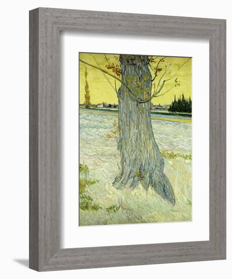 The Old Tree; Le Vieil If, 1888-Vincent van Gogh-Framed Giclee Print