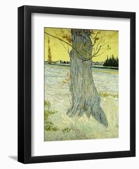 The Old Tree; Le Vieil If, 1888-Vincent van Gogh-Framed Giclee Print