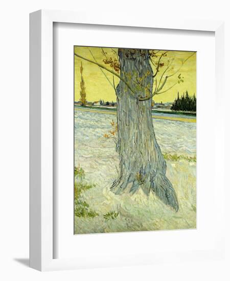 The Old Tree; Le Vieil If, 1888-Vincent van Gogh-Framed Giclee Print