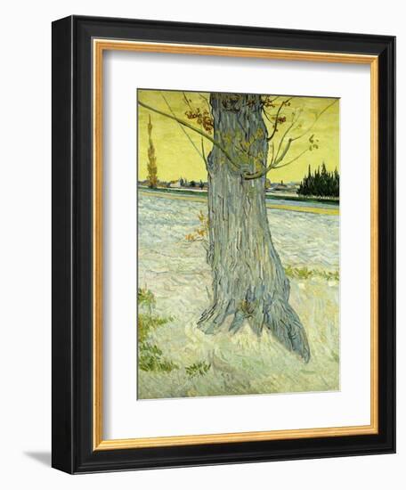 The Old Tree; Le Vieil If, 1888-Vincent van Gogh-Framed Giclee Print