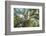 The Old Tree Oak-Philippe Manguin-Framed Photographic Print