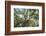 The Old Tree Oak-Philippe Manguin-Framed Photographic Print