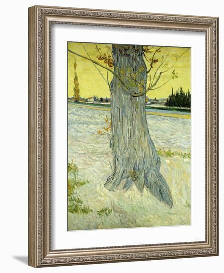 The Old Tree-Vincent van Gogh-Framed Giclee Print