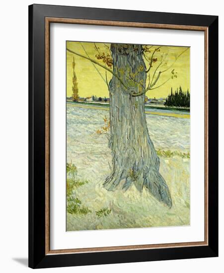 The Old Tree-Vincent van Gogh-Framed Giclee Print