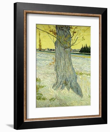 The Old Tree-Vincent van Gogh-Framed Giclee Print