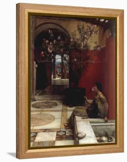 The Oleander-Sir Lawrence Alma-Tadema-Framed Premier Image Canvas